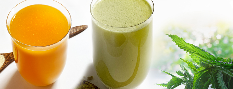 PowerCocktail und D Drink: Fragen und Antworten zu den Produkten Fragen und Antworten zu den FitLine Produkten – PowerCocktail und D Drink im Getränk